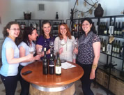 deček z mandolino na vrtu